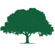 Southern Standard Tree Service logo