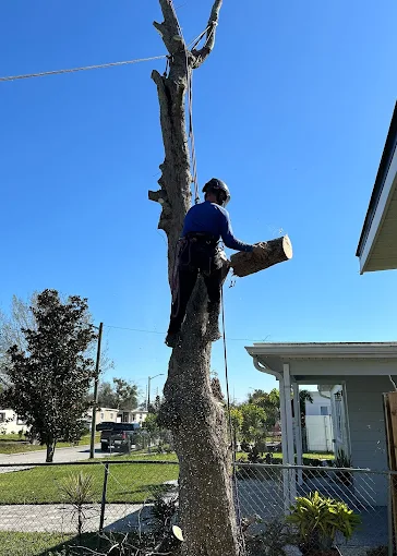 Clean property after removal